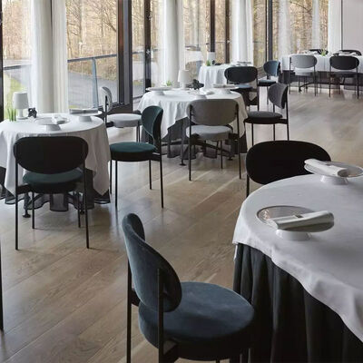 Elegant Iron Metal Base Dining Chair Hotel Banquet Restaurant Leisure Chairs