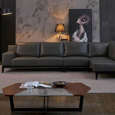 Minimalist Style Luxury Center Tables Retro Unique Shape Two Tone Color Palette